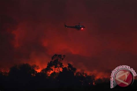 Lima Helikopter Tanggulangi Kebakaran Hutan Lahan Di Dumai Antara News