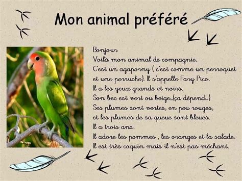 Description D Animaux 3 Pinterest Description French Worksheets Core