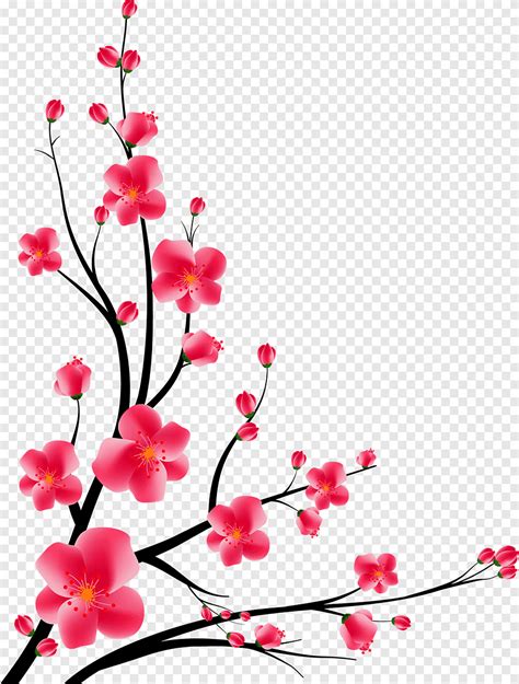 Pink Cherry Blossom Adobe Illustrator Peach Corner Decoration Flower