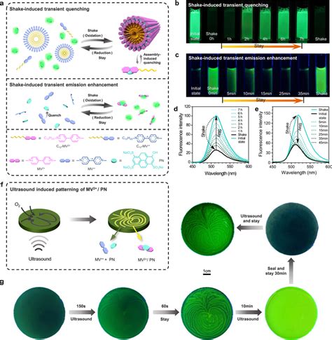 Transient Fluorescence And Ultrasound Guided Patterns A Schematic Download Scientific Diagram