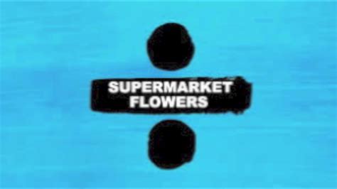 Ed Sheeran Supermarket Flowers Cover Youtube