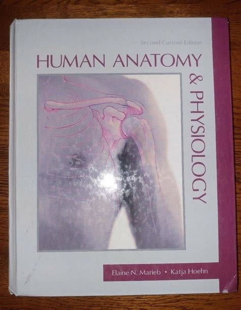 Human Anatomy And Physiology By Elaine N Marieb And Katja N Hoehn Wwcc Etsy