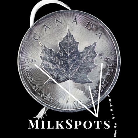 Silver Maple Leaf Coin Review