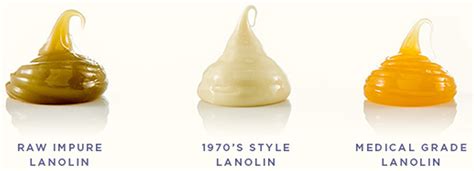 Lanolin, where does lanolin come from, lanolin uses, lanolin allergy & side effects