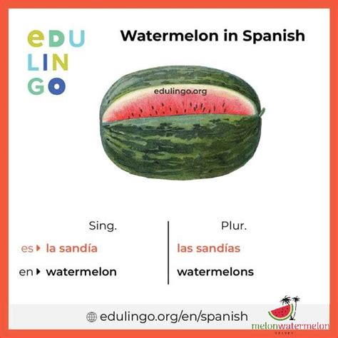 How To Say Watermelon In Spanish A Beginner S Guide Updated January