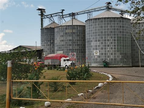 Estado Insiste En Desproteger A Sector Arrocero Y Afecta A Cooperativas