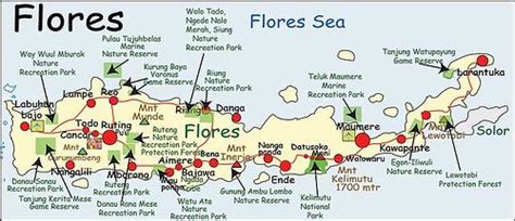 Konsep Top Flores Indonesia Map, Ide Spesial!