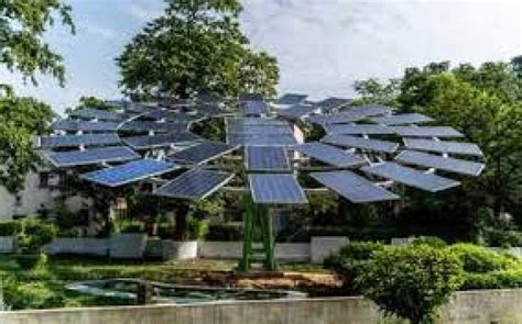 Csir Cmeri Developed The Worlds Largest Solar Tree