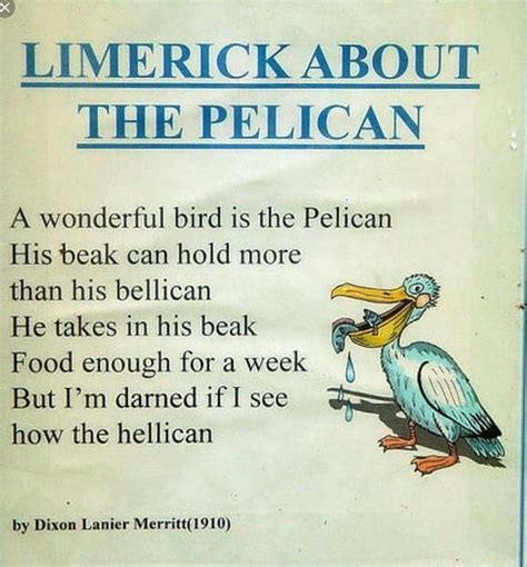 Pin By Mayra Nemeth On Miscellaneous Pelicans Funny Irish Jokes