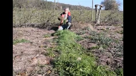 Le Potager du Paresseux préparer ses planches 21 mars 2019 YouTube