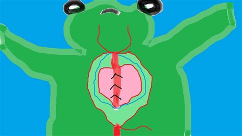 Frog heart Diagram | Quizlet