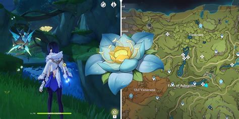 All Kalpalata Lotus Locations In Genshin Impact