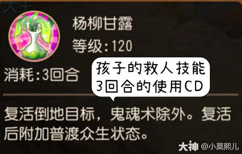 普陀山孩子 技能解析、课程选择、灵技搭配、适用门派梦幻西游手游 大神