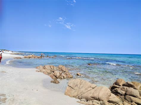 Spiagge Cani Sardegna Scopri La Mappa Yepsea