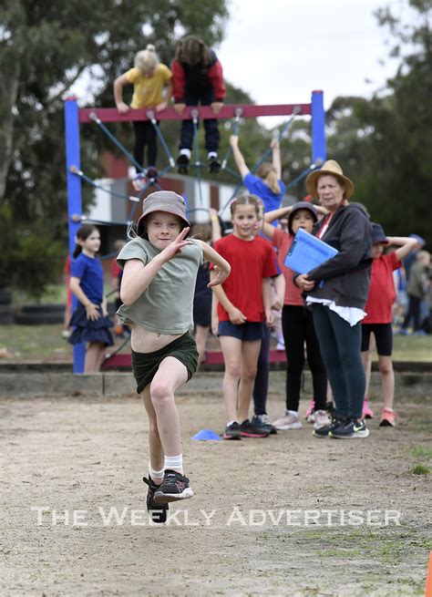 Photos School Sports At Holy Trinity And Horsham Primary Schools The