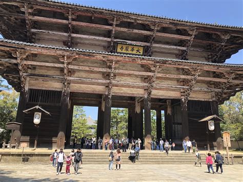 Todaiji Temple: Deer and Cherry Blossoms in Nara — The Gaijin Ghost