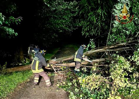 Maltempo Friuli Venezia Giulia Pioggia E Vento Allagamenti E Alberi