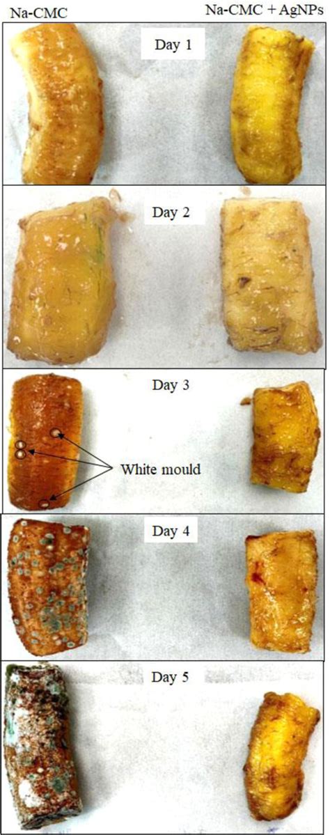 Green Synthesis Of Silver Nanoparticles Using Banana Peel Extract And