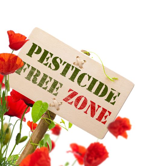 A Step Towards A Toxic Pesticide Free Community Action Network