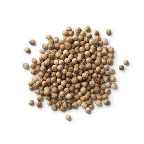 Coriander Seeds At Best Price In Ernakulam By Vevus Lipidos Private