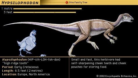 Ornithopod | dinosaur infraorder | Britannica.com