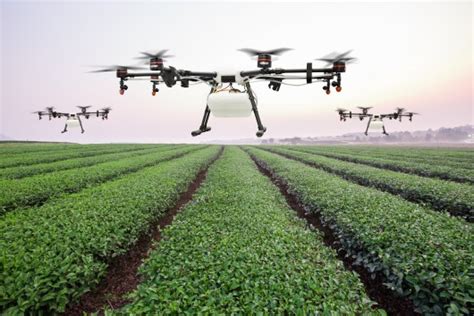 Science In The Future Of Agriculture Can Innovation Double Food