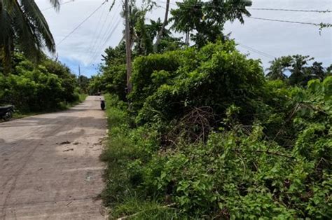 Sq M Commercial Lot For Sale Located In Catarman Dauis Panglao