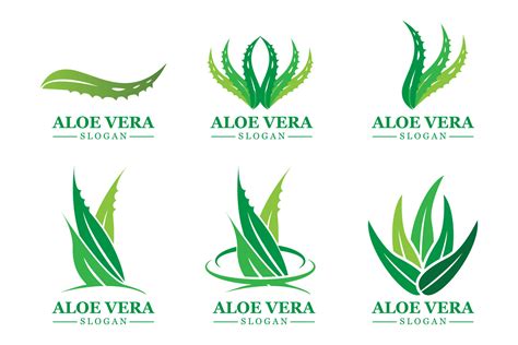 Green Plant Aloe Vera Logo Vector Icon Symbol Many Benefits