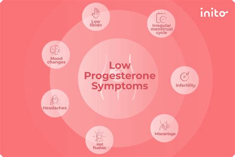 Low Progesterone All You Need To Know Inito