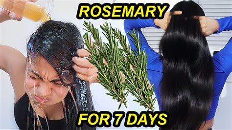 How To Use Rosemary Oil And Water For Hair Growth At Barbara Dempsey Blog