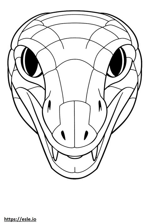 Krait Face Coloring Page