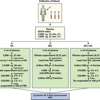 Schematic Overview Of The Experiment Pipeline Blood Was Collected From