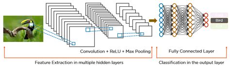 Convolutional Neural Network Tutorial Update