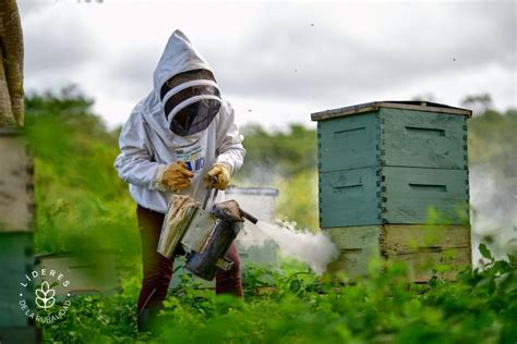 Katy Moncada Agricultora Que Se Abri Paso Y Ense A El Camino A