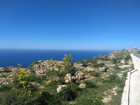 Garrigue vegetation along karstic plateaux - The Cliffs