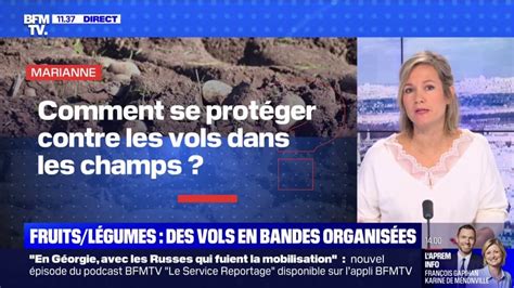 Comment se protéger contre les vols dans les champs BFMTV répond à vos