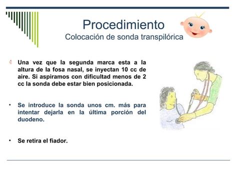 Sondas En Pacientes Pediatricos Ppt