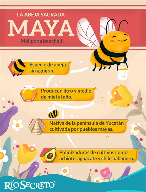 Conoce A La Abeja Melipona La Abeja Sagrada Maya Blog Río Secreto