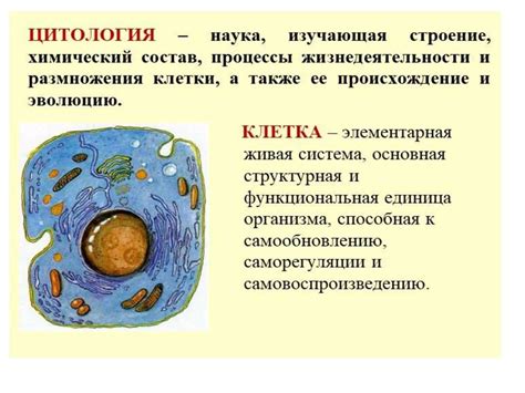 Цитология. Клетка - презентация онлайн