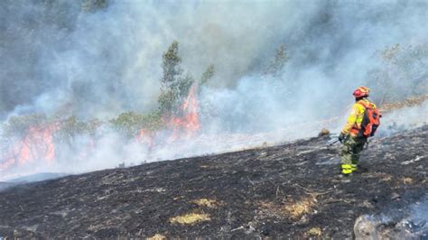 Ecuador Ha Sufrido Más De 2400 Incendios Forestales En 2023 Gobierno