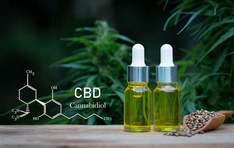 A Guide To Cbd Effects On Hormones Zebra Cbd