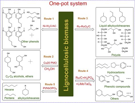 Catalytic Production Of Value Added Chemicals And Liquid Fuels From