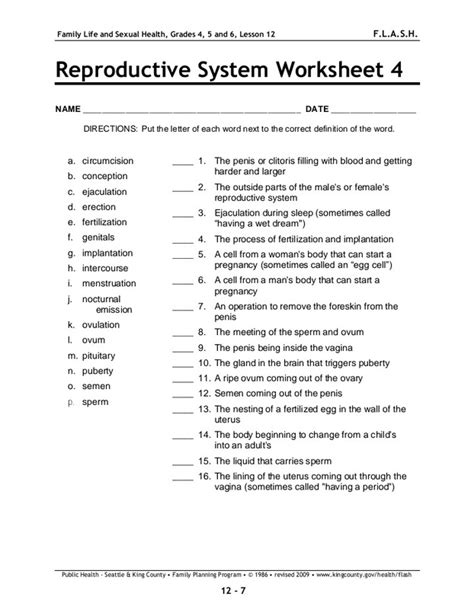 Male Reproductive System Quiz Grade 5