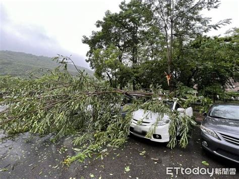 軒嵐諾颱風襲台！ 「強風不斷」高雄路樹倒砸中4車車主傻眼 Ettoday社會新聞 Ettoday新聞雲