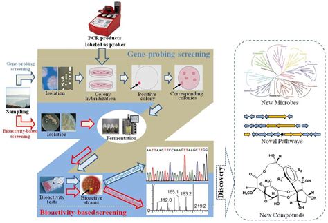 Marine Drugs Free Full Text Recent Advances In The Discovery And