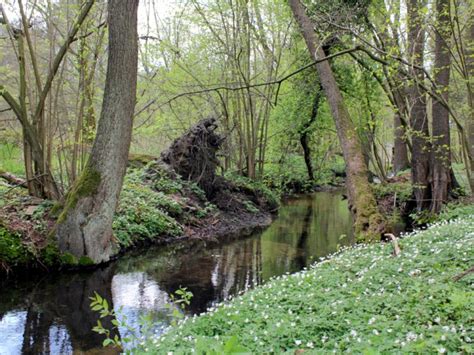 Naturpark Hoher Fl Ming Naturparkverein Ber Uns Unsere Ziele