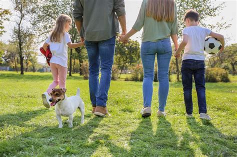 Free Stock Photo of Family with dog on grass field in summer | Download ...