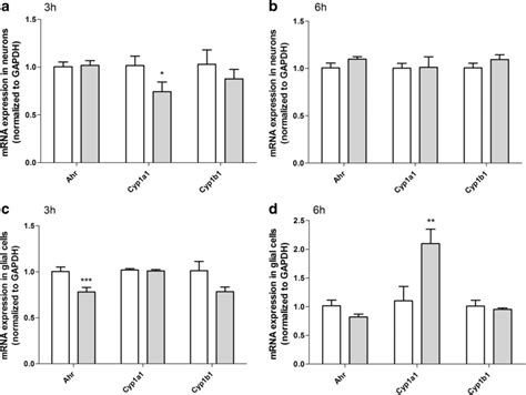 The effects of exposure to 10 μM DEHP on mRNA ahr cyp1a1 and cyp1b1