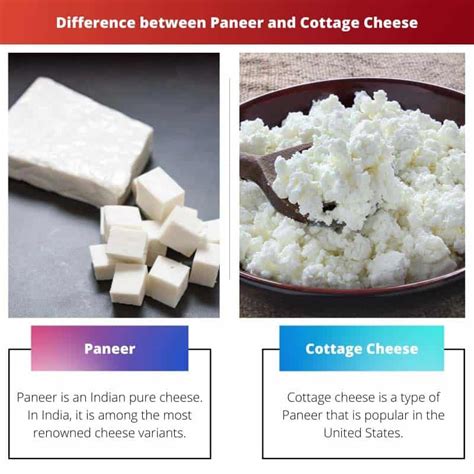 Paneer Vs Cottage Cheese Rozdíl A Srovnání