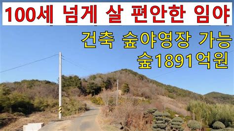 낙찰 소나무송이산 100세~넘게 살 편안한 완만한 남향임야 건축가능 숲가치1891억원 탄소권527만원 숲야영장캠핑교회탠트고기집